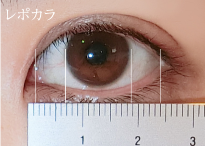 目のサイズの測り方と瞳の黄金比率